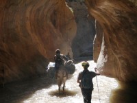 Viaggio su misura in Marocco: escursione a cavallo