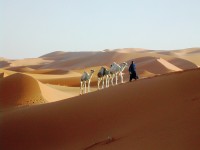 Escursione guidata nel Sahara marocchino