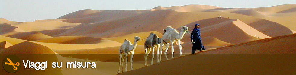 Excursion in the desert of Morocco